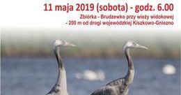 Ilustracja: Zaproszenie na wycieczkę ornitologiczną