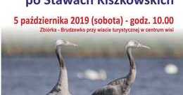 Ilustracja: Europejskie Dni Ptaków