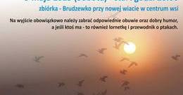 Ilustracja: IV WYCIECZKA ORNITOLOGICZNA
