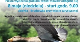 Ilustracja: Zaproszenie na wycieczkę
