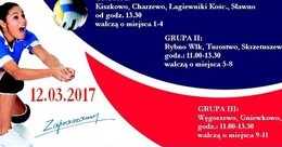 Ilustracja: Finały piłki siatkowej - 12.03.2017