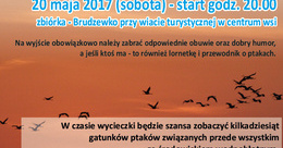Ilustracja: Wycieczka ornitologiczna