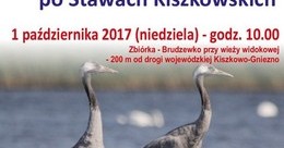 Ilustracja: Europejskie Dni Ptaków