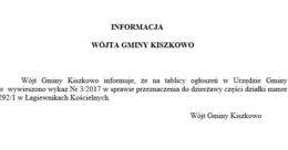 Ilustracja: Informacja