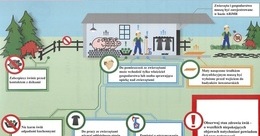 Ilustracja: Wytyczne dotyczące postępowania w przypadku znalezienia padłego dzika