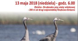 Ilustracja: Wycieczka ornitologiczna