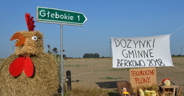 Ilustracja: Dekoracje dożynkowe w Berkowie