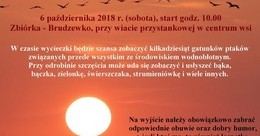 Ilustracja: Zaproszenie na wycieczkę ornitologiczną 6.10.2018, godz. 10.00
