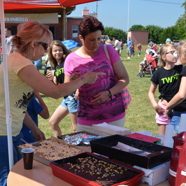 Zdjęcie z galerii: 2015-06-13; PIKNIK RODZINNY