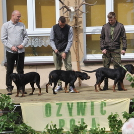 Zdjęcie z galerii: 2015-06-16; PIKNIK MYŚLIWSKI ŁAGIEWNIKI KOŚCIELNE