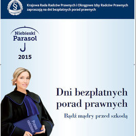 Zdjęcie z galerii: konsultacje