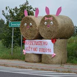Zdjęcie z galerii: Przygotowania do dożynek w Skrzetuszewie