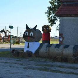 Zdjęcie z galerii: Przygotowania do dożynek w Skrzetuszewie