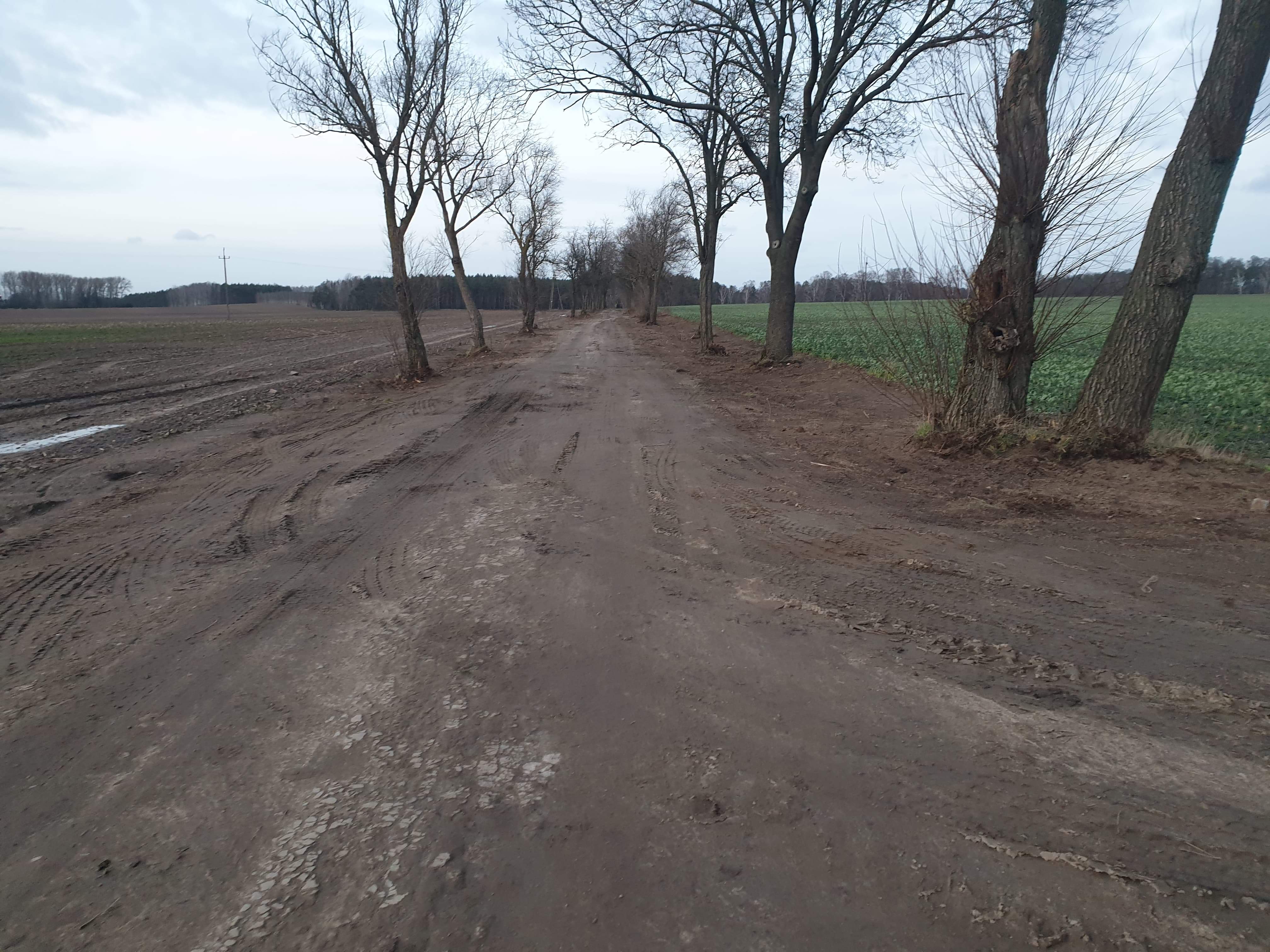 Droga Sławno-Głębokie